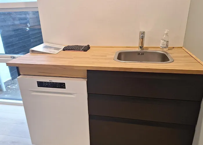 Garden 公寓 欧登塞